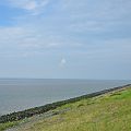 20110802_181059_DSC_4361