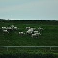 20110802_183015_DSC_4366