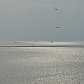 20110802_183824_DSC_4370