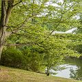 20120526_184854_DSC_9889_tami