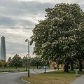 20120526_185446_DSC_9901_tami