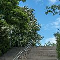 20120527_161729_DSC_0224_tami