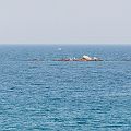 20120726_182559_DSC_3263_bobe