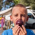 20120802_082840_DSC_4767_tami