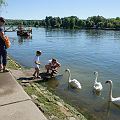 20130801_104813_DSC_4559_tami