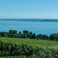 20130802_150816_DSC_4663_bobe