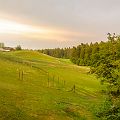 20130803_204219_DSC_4808_tami