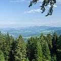 20130804_171818_DSC_5140_tami