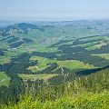 20130805_153853_DSC_5471_bobe