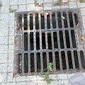 20120703_094816_DSCN0453