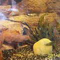 20010909_150905_Picture_0055