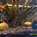 20011224_104626_Picture_0101