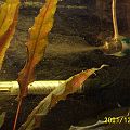 20011224_134345_Picture_0152