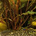 20011224_134526_Picture_0151