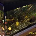 20011224_134720_Picture_0148